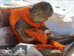 احتمال زنده بودن مومیایی 200 ساله مومیایی/431