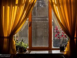 پیرزنی که به دنبال «بهتر شدن دنیا» است
 خانه43