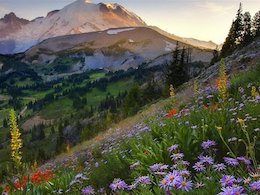 ای دریغ از ما اگرکامی نگیریم از بهار بهار 43