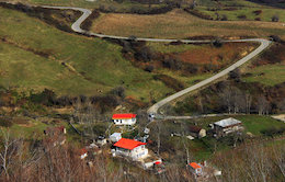 تصاویر/ دیدنیترین جاده جنگلی ایران  جاده