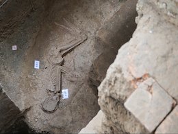 اولین سایت موزه تهران برای زن ۷هزار ساله اسکلت زن 7 هزار ساله در خیابان مولوی