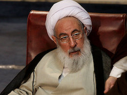 اگر هر نماینده سلیقه ای رفتار کند مجلس انقلابی نمی شود آیت الله شبستری