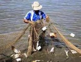 انقلاب صادراتی در شیلات شیات43