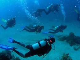 تظاهرات زیرآبی!/عکس  غواصی 43