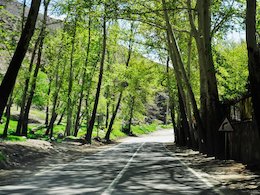 واکنش  پلیس به «پولی شدن» جاده چالوس  جاده چالوس