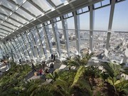 بلندترین باغچه دنیا
