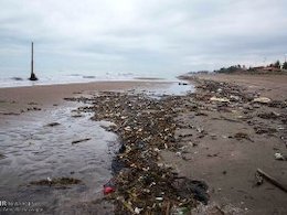 خبرهای تلخ کشتار حیوانات و تخریب محیطزیست محیط زیست 43