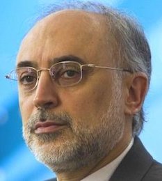 راکتورهای هستهای جدید بوشهر ۱۰ ساله تکمیل میشوند صالحی/2