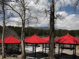 یاس؛ هدیه رهبری به مردم/ ساخت بوستان ۱۴۰۰ هکتاری در ۲۲ روز بوستان یاس