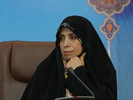 وجود مسئولان دولتی دوتابعیتی و گرینکارتی صحت ندارد/ منشور حقوق شهروندی ایرانی-اسلامی می شود امین زاده