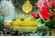  گل‌آرایی حرم امام علی(ع) 