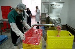 مراحل تولید خمیرمرغ/تصاویر مراحل تولید خمیرمرغ