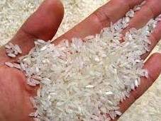 واردات برنج آزاد شد  برنج پلاستیکی چینی