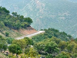 روایت تصویری شکوفه های بهاری خانه پدری  طبیعت بهاری بهشت 43