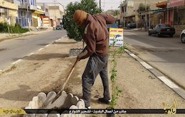 درختکاری داعش