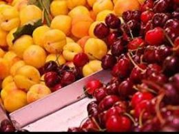 چقدر سم در ایران مصرف میشود؟ میوه43