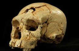 کشف جمجمه هابیل فرزند حضرت آدم (ع)+تصاویر  کشف جمجمه هابیل