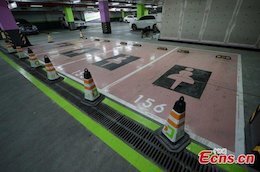 پارکینگ مخصوص خانم ها!+عکس پارکینگ مخصوص خانم ها