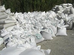 واردات 490 هزار تن ذرت مسموم توسط 13 شرکت دولتی
 واردات43