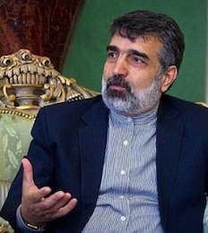 اجرای قرارداد فروش آب سنگین ایران به آمریکا در هفتههای آینده کمالوندی/2