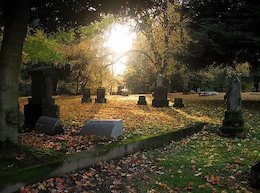 پاسخ سخنگوی سازمان اوقاف به شبهه قیمت قبور در امامزادگان  قبرستان