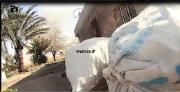 آخرین عکسِ عکاس داعش + عکس  عکاس داعش