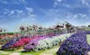 بزرگترین باغ گل جهان در عمق صحرای دبی