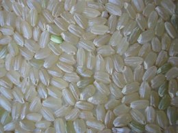 برنج تقلبی