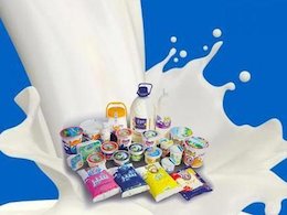 بیخبری صنایع لبنی از قیمتها/ گرانفروشان را معرفی کنید لبنیات