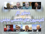 8 وزیر مهمان کمیسیونها