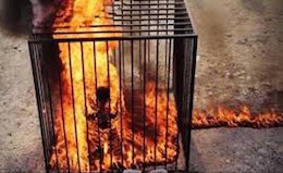 داعش ۲۵ عراقی را سوزاند  زنده سوزاندن کودکان