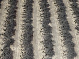  خشکسالی در آمریکا