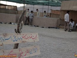 مهاجران، الگویی برای کادرسازی انقلابی تردو43