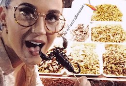 عقرب خوری بازیگر زن در سفر به تایلند! +عکس کِیتی پری