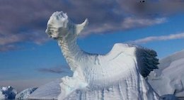 کشف یک اژدها در قطب!+ عکس
 اژدها در قطب