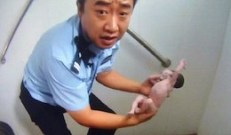 تولد نوزادی داخل توالت !+تصاویر  تولد نوزادی داخل توالت