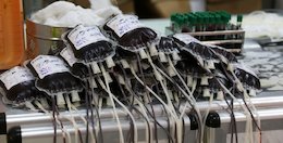 پیشنهاد نایب رئیس کمیسیون بهداشت مجلس برای رفع مشکلات مالی سازمان انتقال خون
  بانک خون داعش