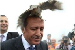 اردوغان