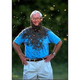 ریش زنبوری!+عکس  زنبور