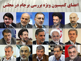 روایت سایت حامی دولت از کمیسیونبرجام اعضای کمیسیون ویژه برجام/*