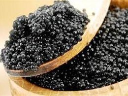 اعلام میزان مجازخاویار همراه مسافر خاویار