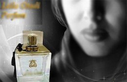 بازی برندهای تجاری با زنان بازیگر ایرانی+تصاویر تبلیغ با بازیگران زن