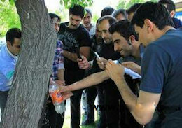 جوشیدن آب از درختی در همدان! +تصاویر جوشیدن آب از درخت