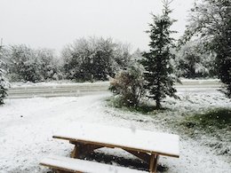 غافلگیر شدن شهرداری تهران در پی بارش برف برف تابستانی