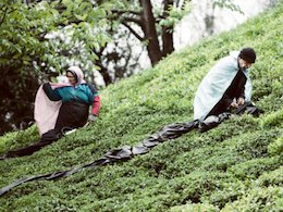 سرمازدگی باغات چای کشور/ تولید برگ سبز چای کاهش یافت چای43