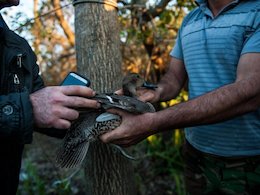 سود بالای قاچاق گونههای جانوری به خارج  قاچاق جانوران