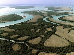 زندگی در خلیج فارس غیرممکن میشود! خلیج فارس43