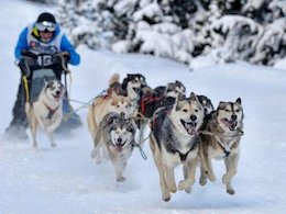 عجیبترین تور خارجی ایرانیها فنلاند