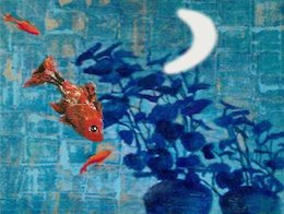 چطور با پرورش ماهی پولدار شویم؟
 آهنگ ماه و ماهی