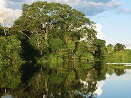 «حرا» صاحب تماشاگه میشود حرا